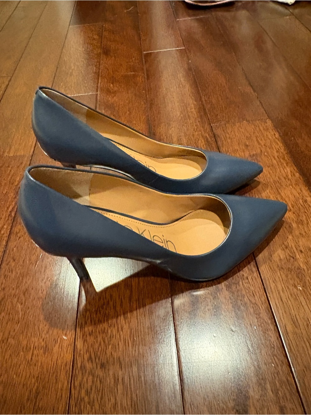 Calvin Klein Midnight Blue Pointed-Toe Stiletto Pumps